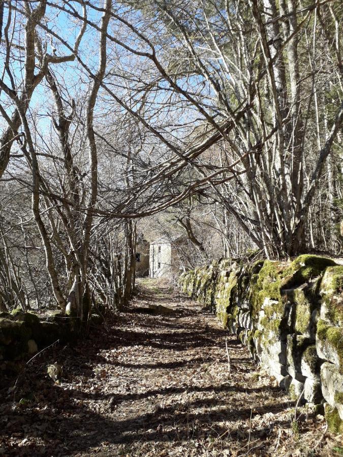 Vila La Tana Del Picchio Neviano degli Arduini Exteriér fotografie