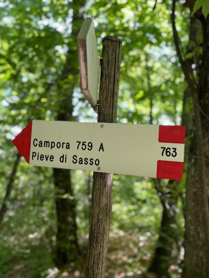 Vila La Tana Del Picchio Neviano degli Arduini Exteriér fotografie