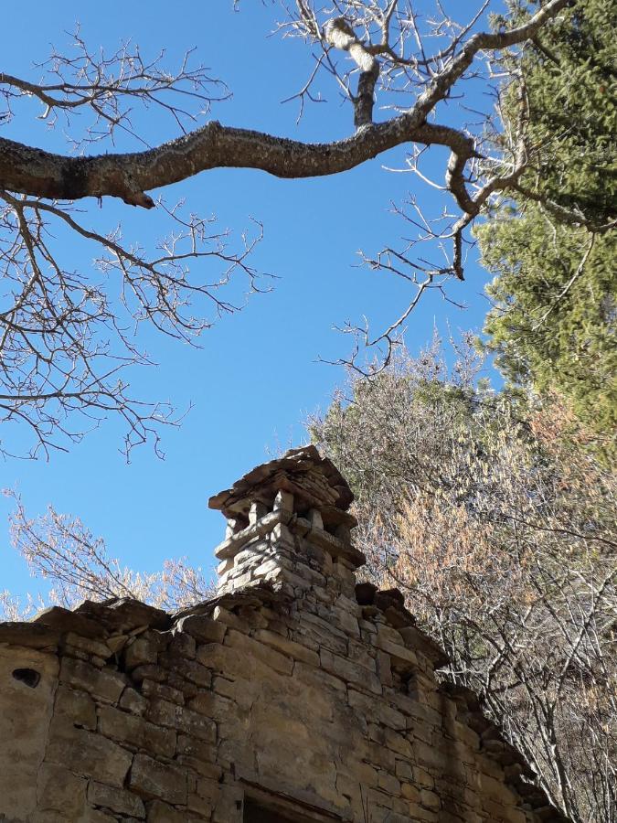 Vila La Tana Del Picchio Neviano degli Arduini Exteriér fotografie