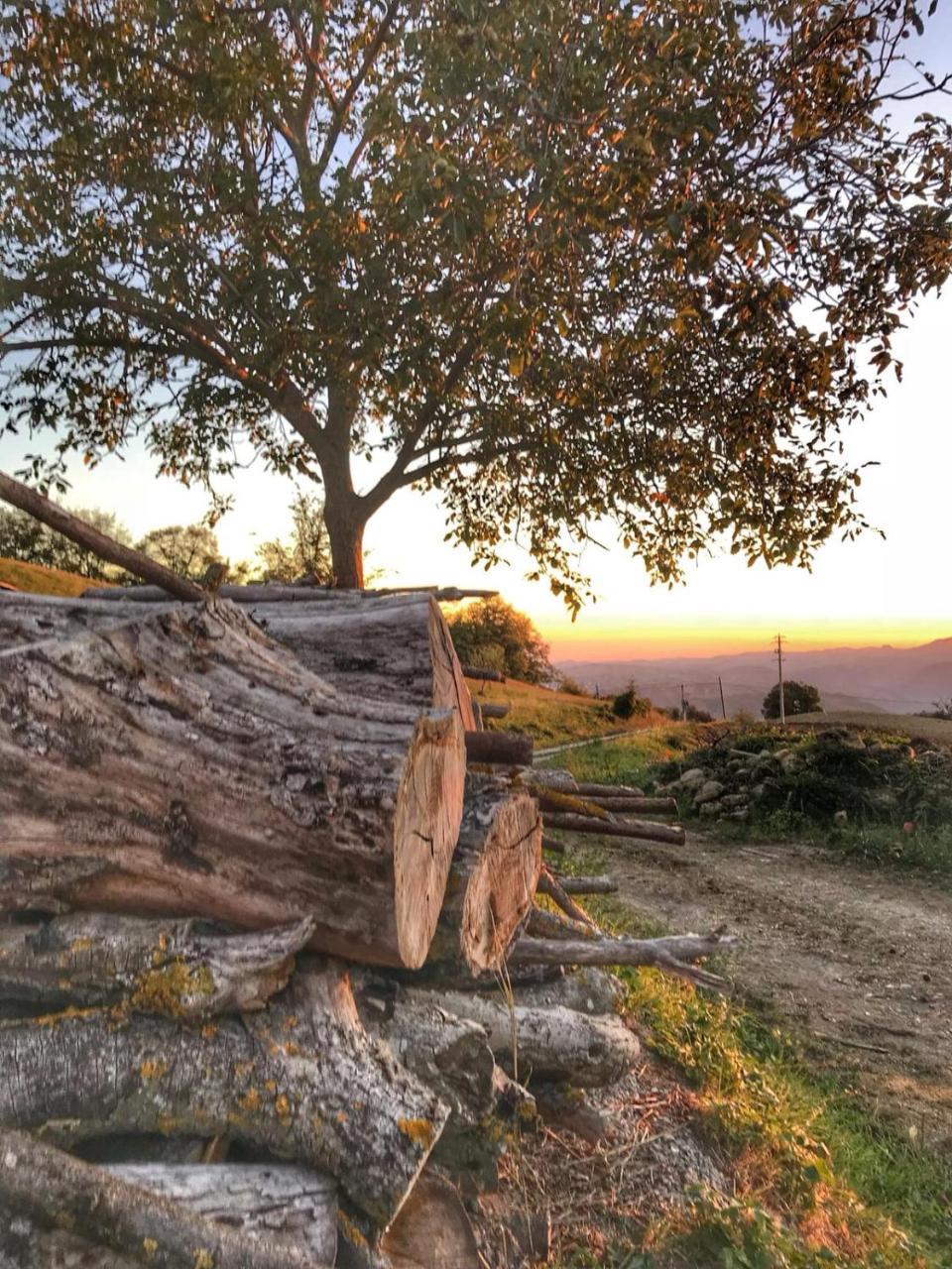 Vila La Tana Del Picchio Neviano degli Arduini Exteriér fotografie