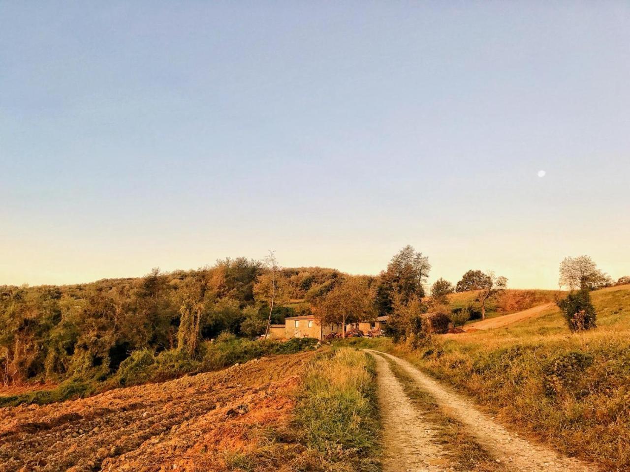 Vila La Tana Del Picchio Neviano degli Arduini Exteriér fotografie